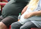 The 5 Most Obese Professions: Is Yours On The List?