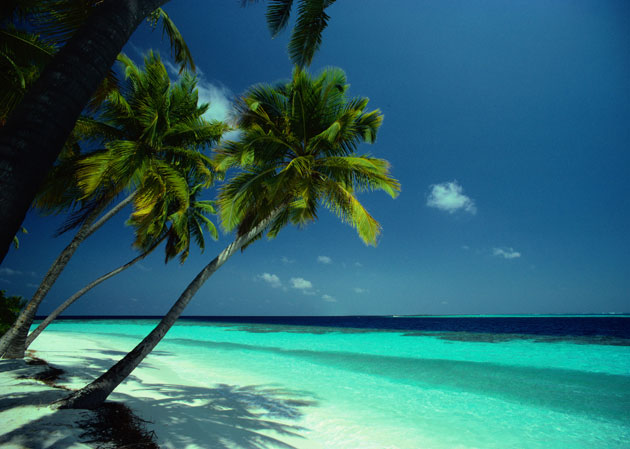 A beach on the Seychelles