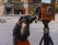 Great Pet News: Mikki The Moscow Monkey Sells His Photos!