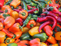 Types of hot peppers